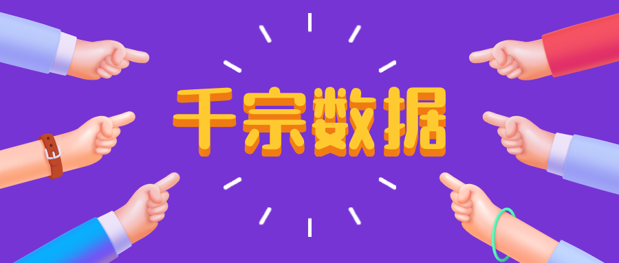 千宗数据