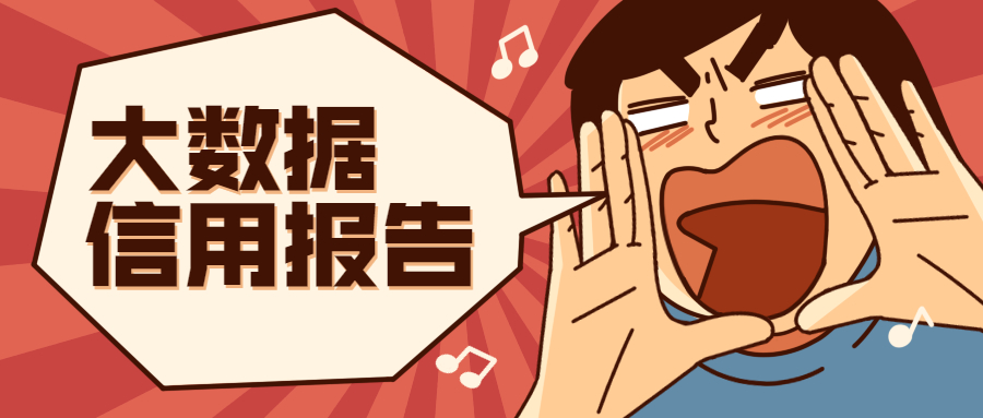 大数据信用报告
